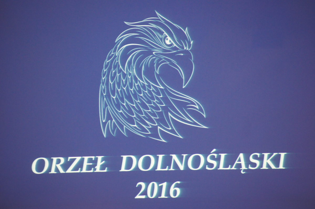 orzeł dolnośląski