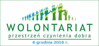 wolontariat